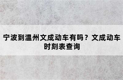 宁波到温州文成动车有吗？文成动车时刻表查询