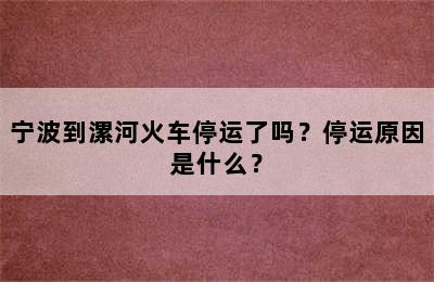 宁波到漯河火车停运了吗？停运原因是什么？