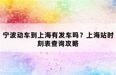 宁波动车到上海有发车吗？上海站时刻表查询攻略