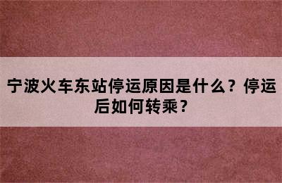 宁波火车东站停运原因是什么？停运后如何转乘？