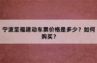 宁波至福建动车票价格是多少？如何购买？
