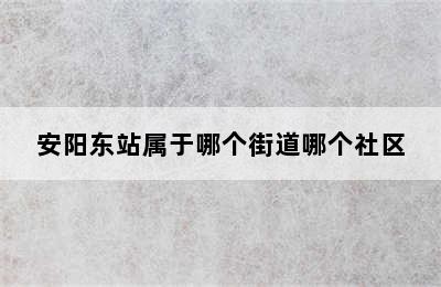 安阳东站属于哪个街道哪个社区