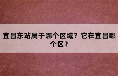 宜昌东站属于哪个区域？它在宜昌哪个区？