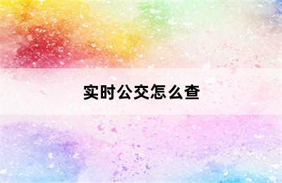 实时公交怎么查