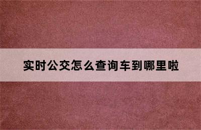 实时公交怎么查询车到哪里啦