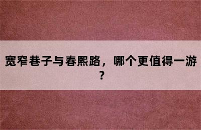 宽窄巷子与春熙路，哪个更值得一游？