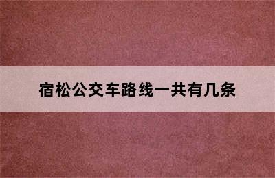 宿松公交车路线一共有几条