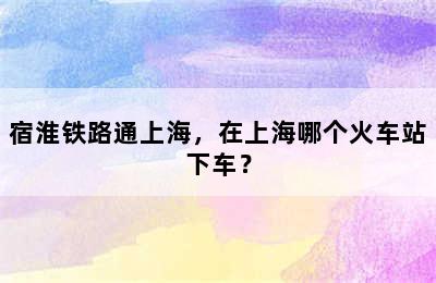 宿淮铁路通上海，在上海哪个火车站下车？
