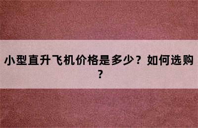 小型直升飞机价格是多少？如何选购？
