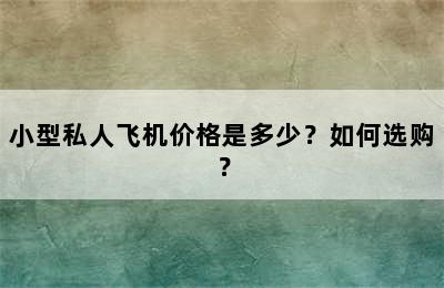 小型私人飞机价格是多少？如何选购？