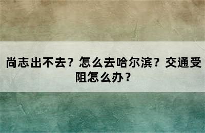 尚志出不去？怎么去哈尔滨？交通受阻怎么办？