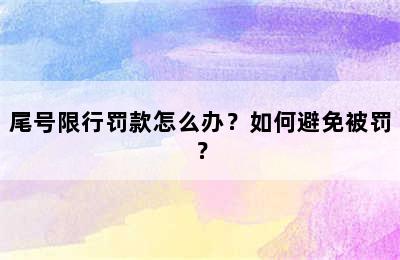 尾号限行罚款怎么办？如何避免被罚？