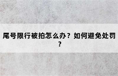 尾号限行被拍怎么办？如何避免处罚？
