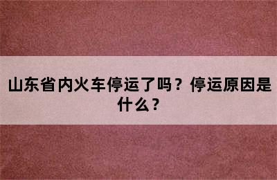 山东省内火车停运了吗？停运原因是什么？
