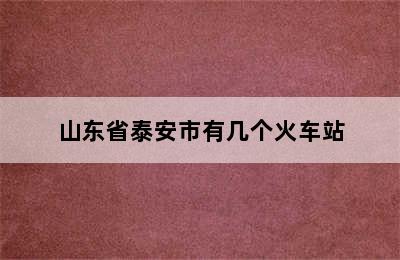 山东省泰安市有几个火车站