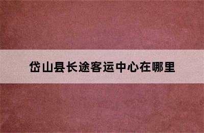 岱山县长途客运中心在哪里