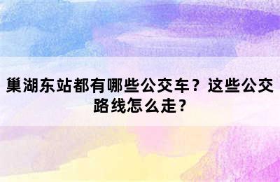 巢湖东站都有哪些公交车？这些公交路线怎么走？