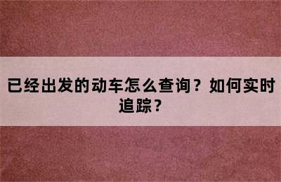 已经出发的动车怎么查询？如何实时追踪？
