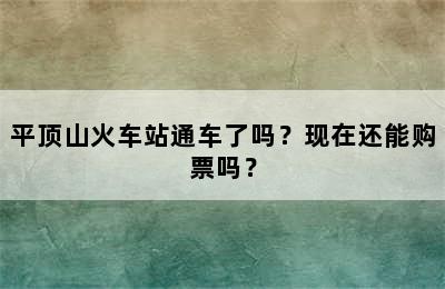 平顶山火车站通车了吗？现在还能购票吗？