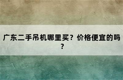 广东二手吊机哪里买？价格便宜的吗？