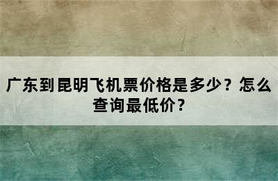 广东到昆明飞机票价格是多少？怎么查询最低价？