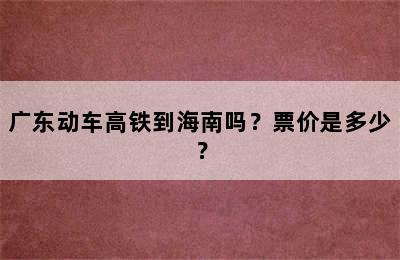 广东动车高铁到海南吗？票价是多少？