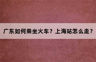 广东如何乘坐火车？上海站怎么走？