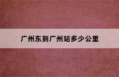 广州东到广州站多少公里