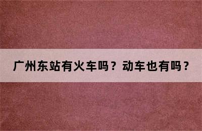 广州东站有火车吗？动车也有吗？