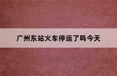 广州东站火车停运了吗今天