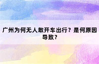 广州为何无人敢开车出行？是何原因导致？