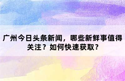 广州今日头条新闻，哪些新鲜事值得关注？如何快速获取？