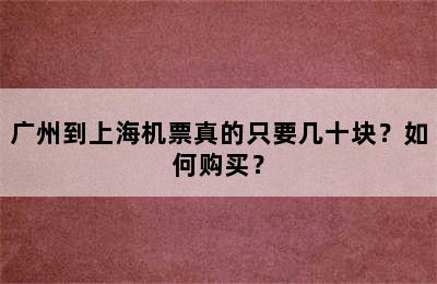 广州到上海机票真的只要几十块？如何购买？
