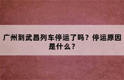 广州到武昌列车停运了吗？停运原因是什么？