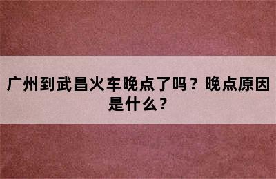 广州到武昌火车晚点了吗？晚点原因是什么？
