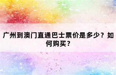广州到澳门直通巴士票价是多少？如何购买？
