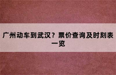 广州动车到武汉？票价查询及时刻表一览