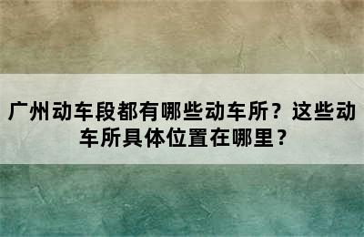 广州动车段都有哪些动车所？这些动车所具体位置在哪里？
