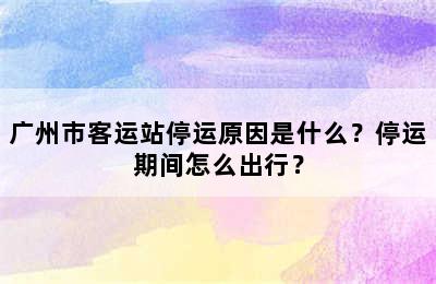 广州市客运站停运原因是什么？停运期间怎么出行？