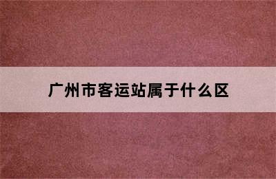 广州市客运站属于什么区