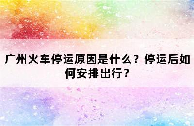 广州火车停运原因是什么？停运后如何安排出行？