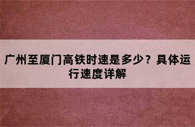 广州至厦门高铁时速是多少？具体运行速度详解
