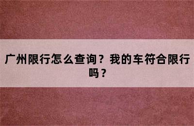 广州限行怎么查询？我的车符合限行吗？