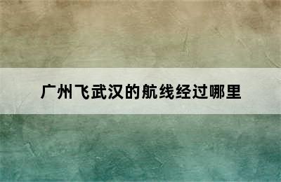 广州飞武汉的航线经过哪里