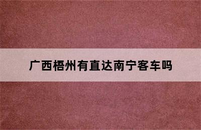 广西梧州有直达南宁客车吗