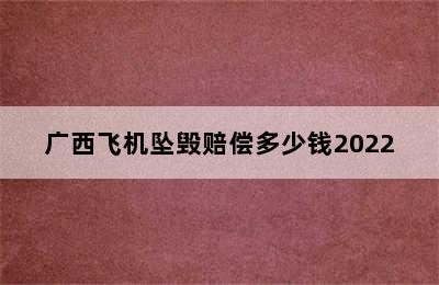 广西飞机坠毁赔偿多少钱2022