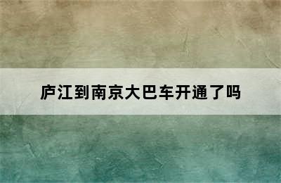 庐江到南京大巴车开通了吗