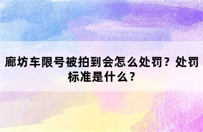 廊坊车限号被拍到会怎么处罚？处罚标准是什么？