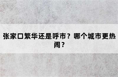 张家口繁华还是呼市？哪个城市更热闹？