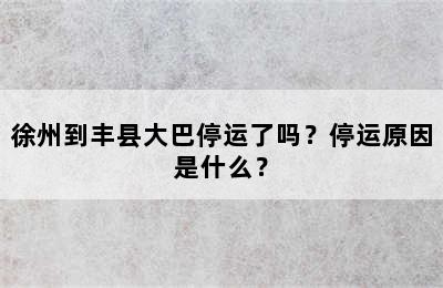 徐州到丰县大巴停运了吗？停运原因是什么？